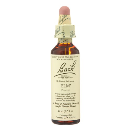 BACH - ELM
