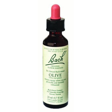 BACH - OLIVE