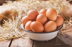 HUEVOS ORGANICOS