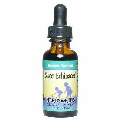 SWEET ECHINACEA