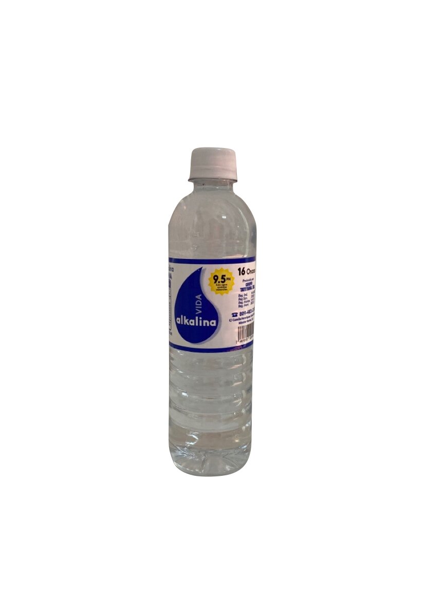 TATEYAMA AGUA ALKALINA 16 OZ