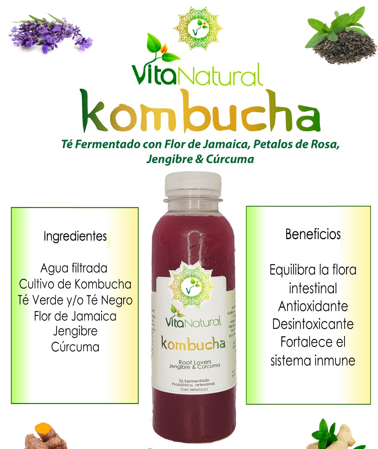 KOMBUCHA ROOT LOVERS 12 OZ